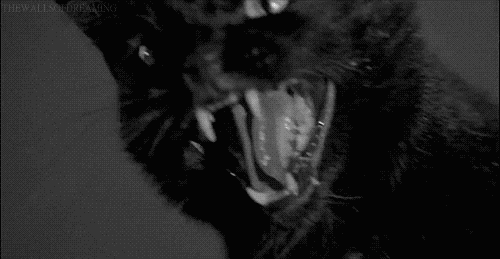 tumblr_m8vq2wRnrP1qivp69o1_500