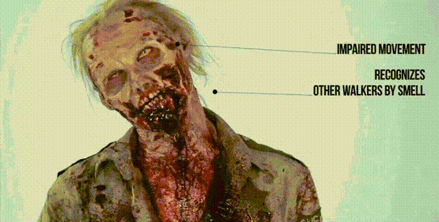 Zombies evolution