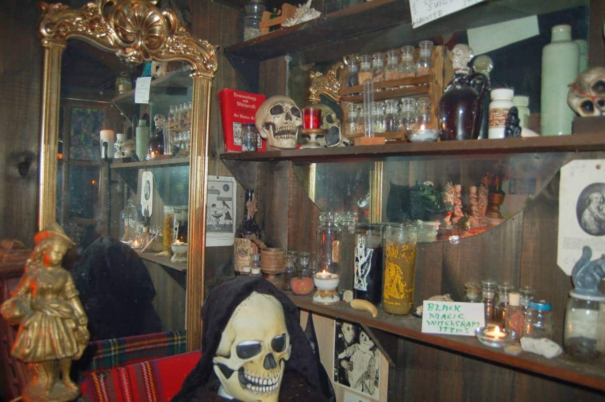 entranceofmuseum-skeleton-1200x798
