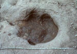 px82-u3-111