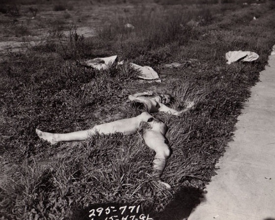 Black Dahlia