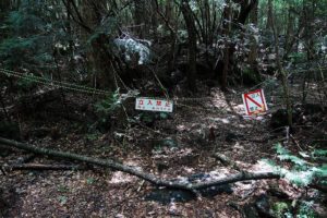 aokigahara-suicide-forest-japan-2