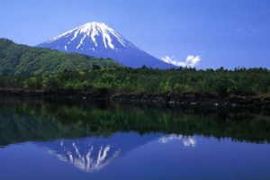 aokigahara2
