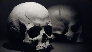 887983-skull-wallpaper