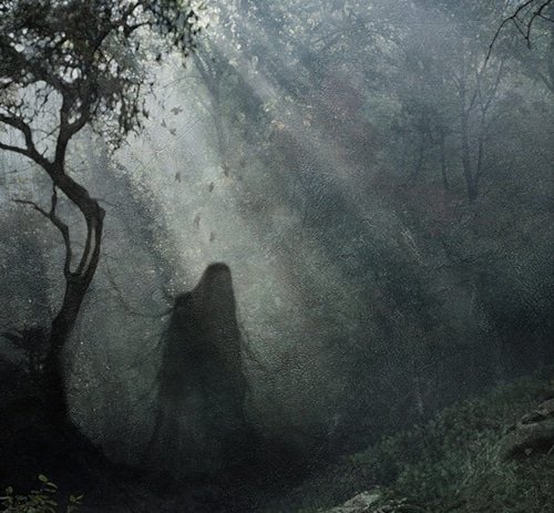 Hoia Baciu - Geist
