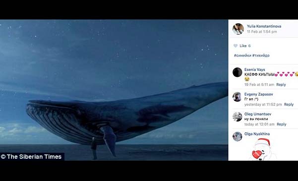 Blue Whale Yulia Konstantinova & Veronika Volkova letzter Beitrag