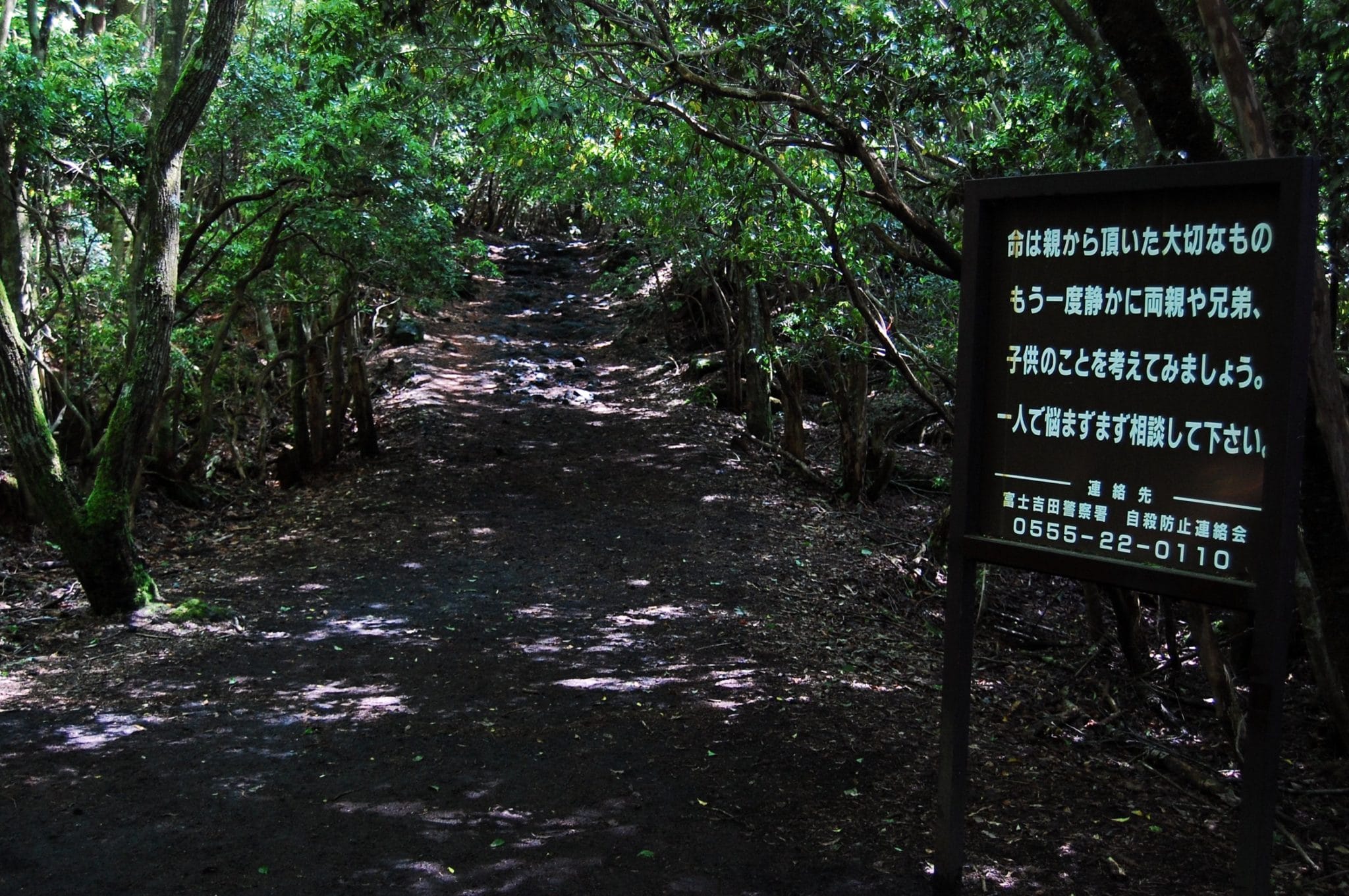 Die gruseligsten und Orte der Welt Aokigahara Selbstmordwald Horror-Fakten