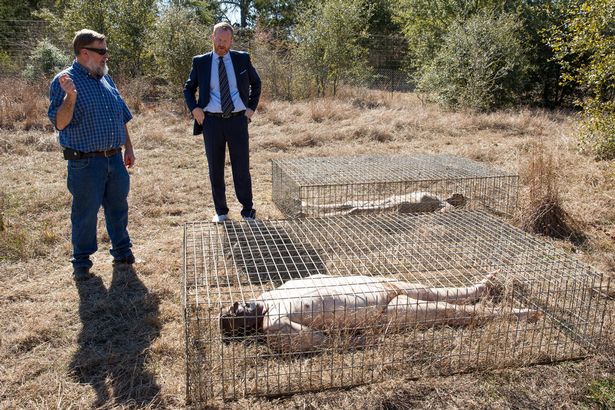 Die gruseligsten und Orte der Welt Body Farm Horror-Fakten