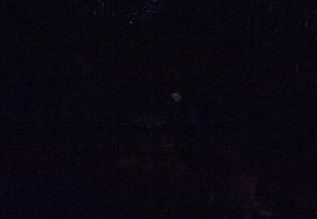 Brieselanger-Lichter-Gestalt