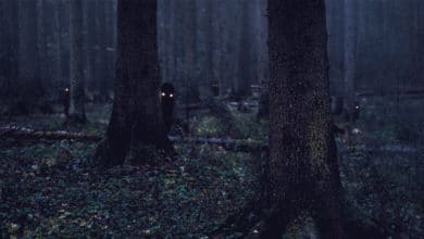Die unheimliche Licht vom Brieselanger Wald