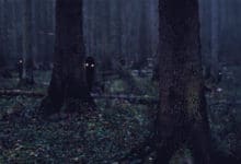 Die unheimliche Licht vom Brieselanger Wald