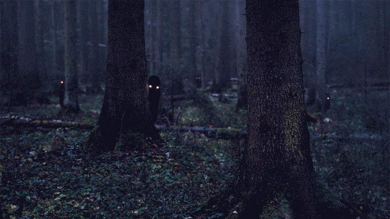 Die unheimliche Licht vom Brieselanger Wald
