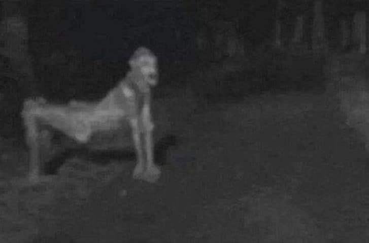 O Corpo Seco